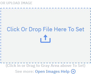 Storyfyre Origin Story Settings: Image Selection Upload